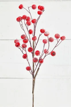 26” Beaded Crabapple Spray - Red