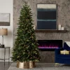9' Canyon Ranch Fir Tree with 620 Warm White LED Lights