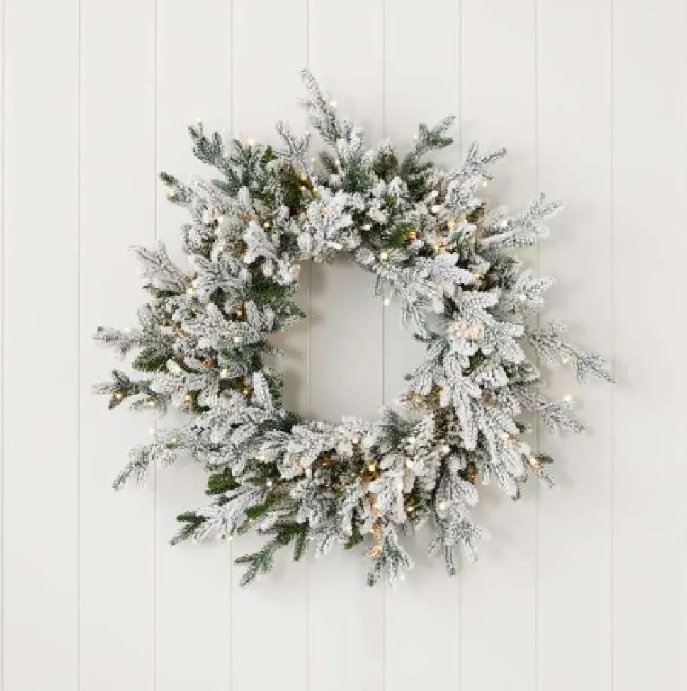 24" Dandan Plug-In Flocked Wreath with Warm White LED Lights