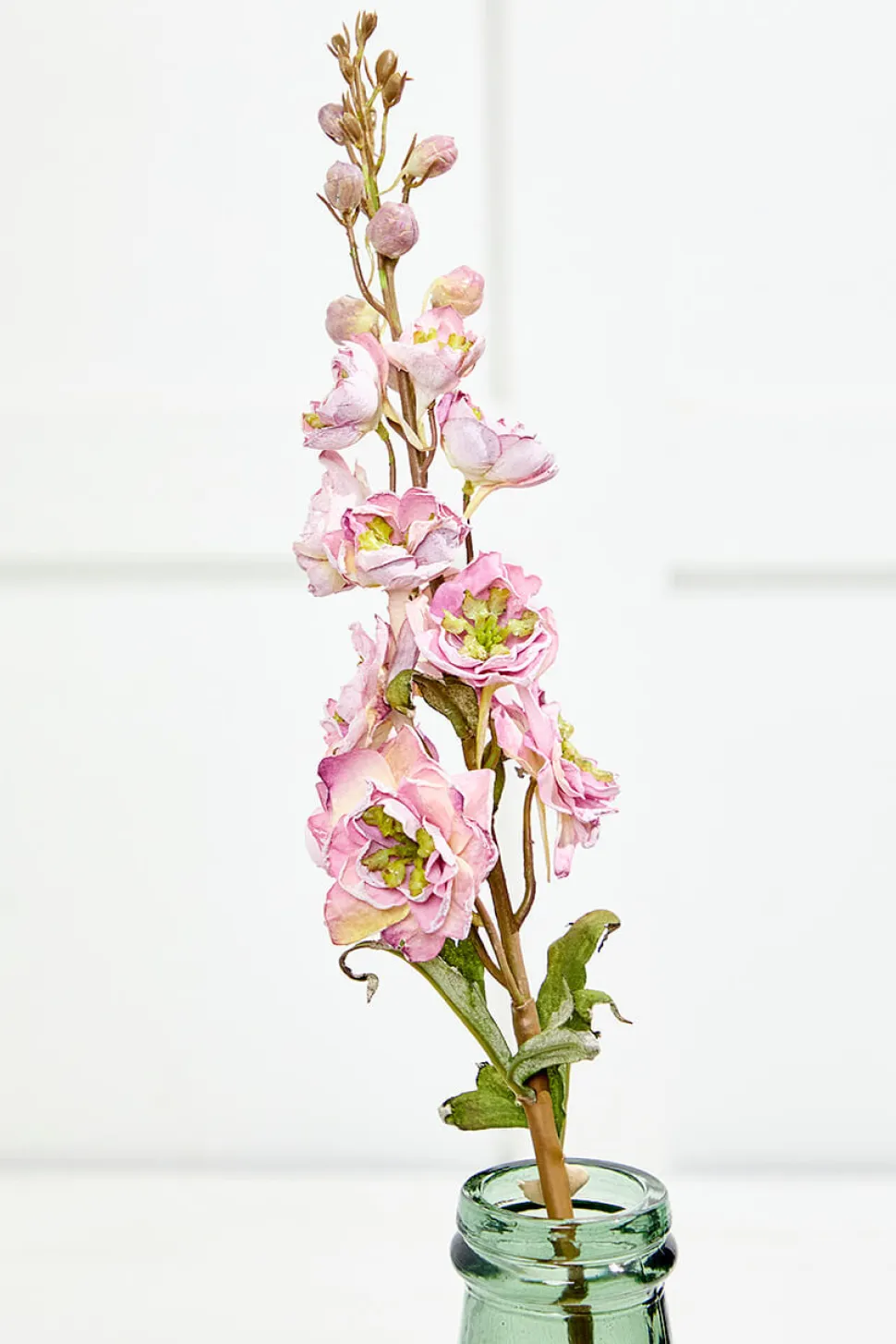 27" Dried Delphinium Stem