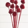 21" Euro Cone Pick - Red