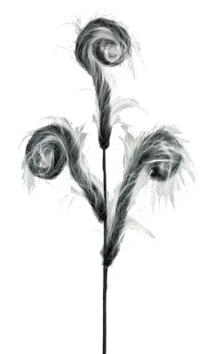 30” Furry Spiral Curly Spray - Black/White