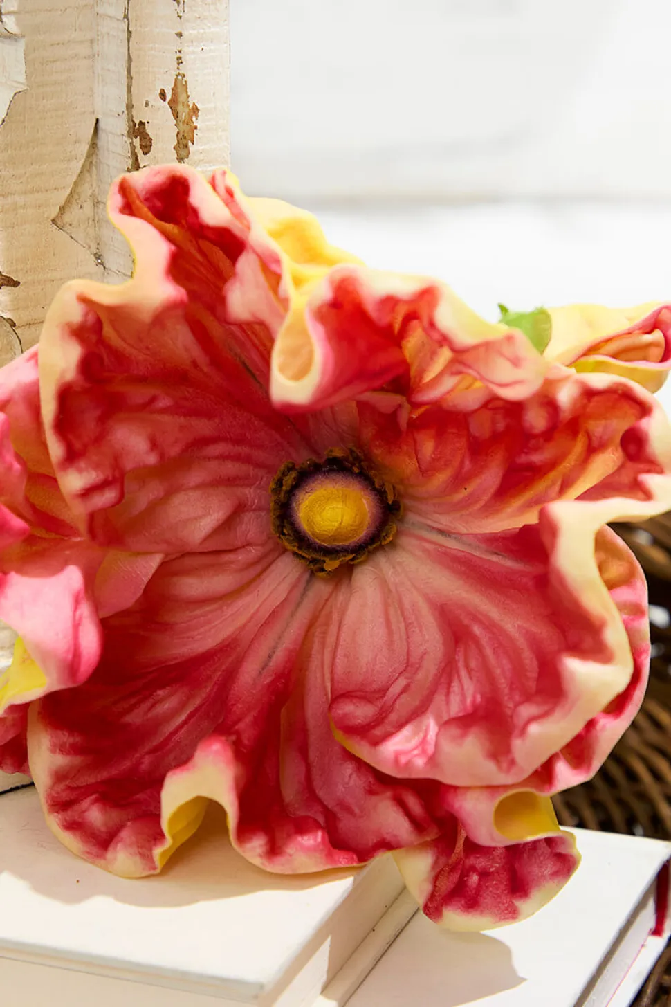 29" Giant Ranunculus Stem