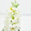 17" Hyacinth Spray