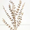 33" Jeweled Champagne Leaf Spray