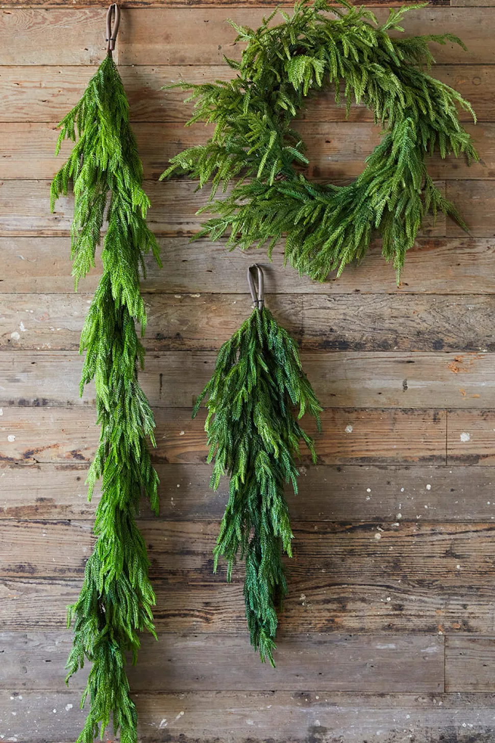 24” Just Cut Norfolk Pine Wreath