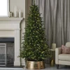 6' Palmetto LED Pine Tree