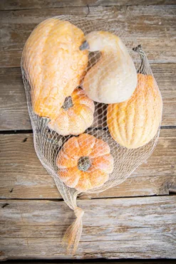 6 Piece Pumpkins & Gourds with Mesh Bag
