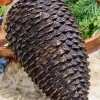 12" Pinecone Ornament