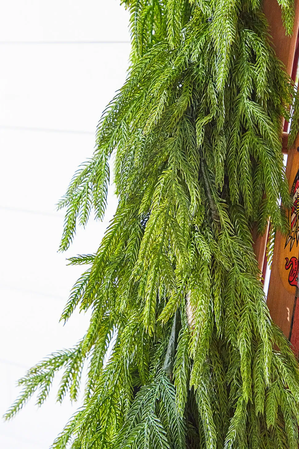 47" Real Touch Norfolk Pine Dripping Garland