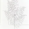 35" Silver Glitter Fern Spray