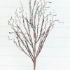 36" Snow Twig Branch