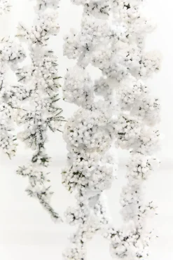 25" Snowy Hanging Berry Branch