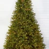 10' Southern Fir with 3000 3mm Lights