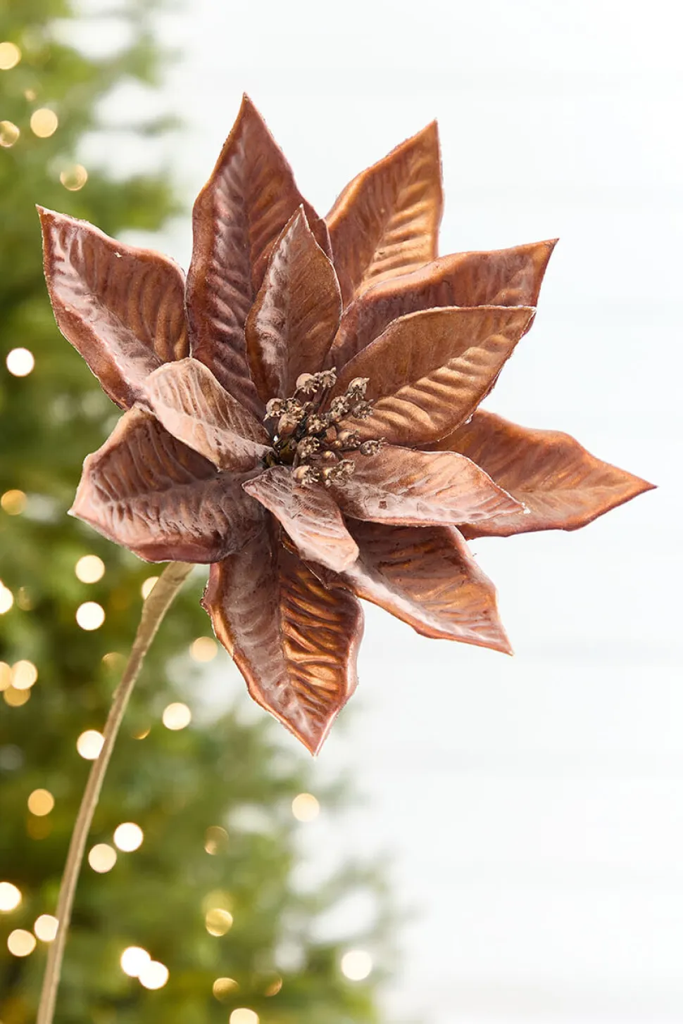 22" x 9" Bronze Poinsettia Stem
