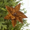 19" x 12" Brown Poinsettia Stem