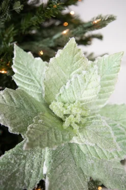 20” x 14" Mint Sugared Poinsettia Stem
