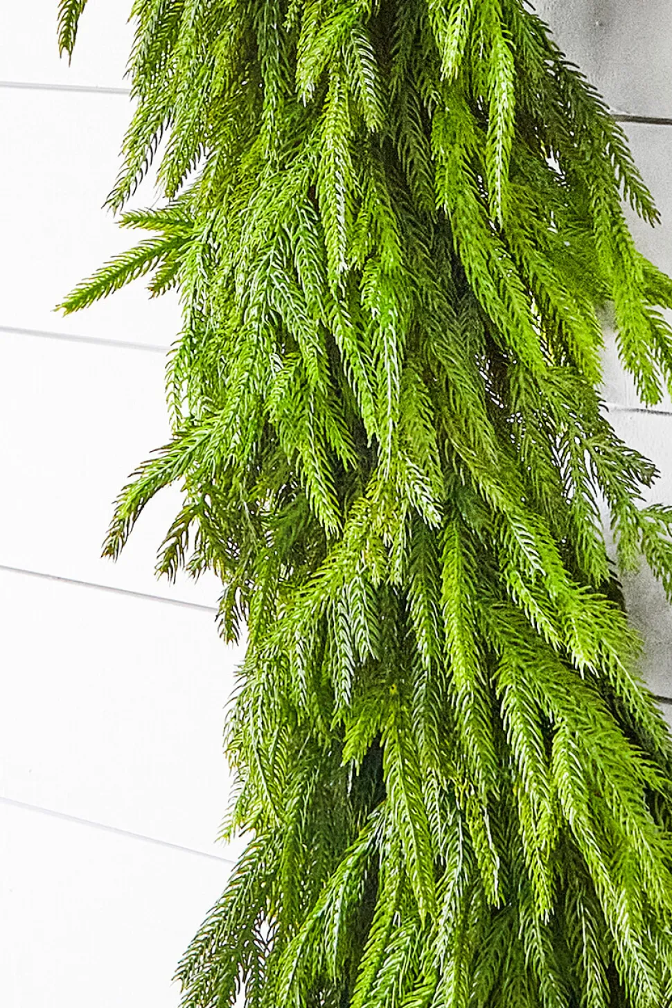 60" x 16" Real Touch Deluxe Norfolk Pine Garland