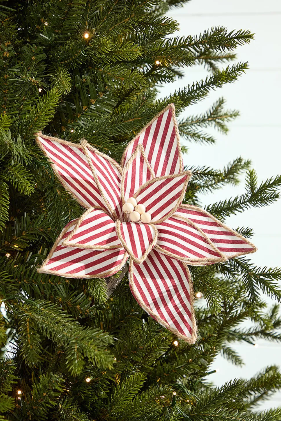 20" x 12" Striped Poinsettia Stem